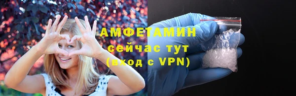 гидра Аркадак