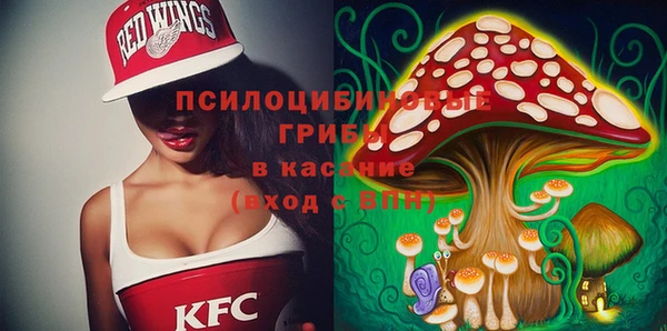 гидра Аркадак