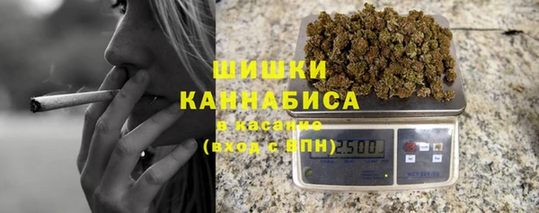 гидра Аркадак