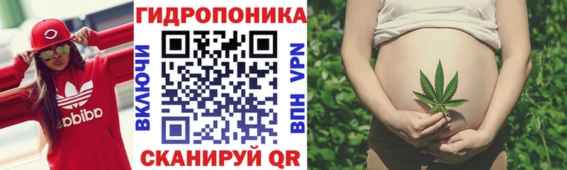 Каннабис Amnesia  наркота  Суоярви 